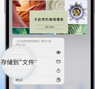 保康apple维修中心分享iPhone文件应用中存储和找到下载文件