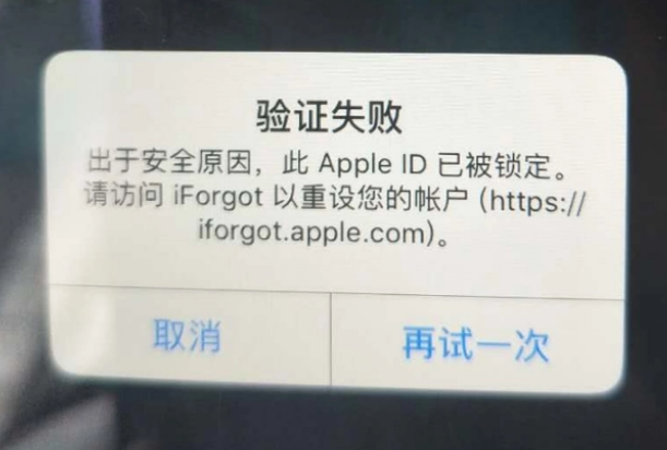 保康iPhone维修分享iPhone上正常登录或使用AppleID怎么办 