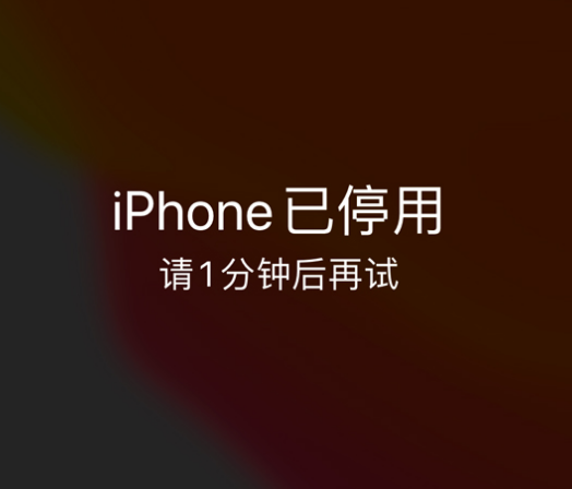 保康苹果手机维修分享:iPhone 显示“不可用”或“已停用”怎么办？还能保留数据吗？ 