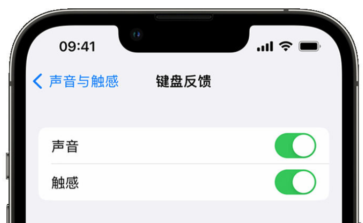 保康苹果手机维修分享iPhone 14触感键盘使用方法 