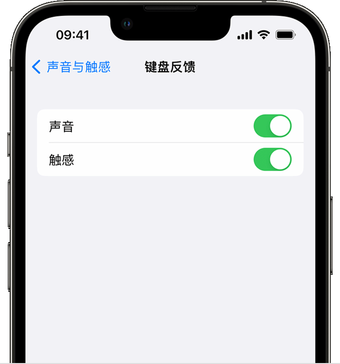 保康苹果14维修店分享如何在 iPhone 14 机型中使用触感键盘 