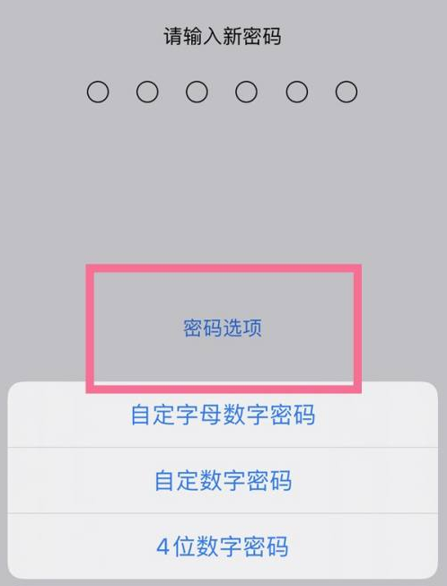 保康苹果14维修分享iPhone 14plus设置密码的方法 