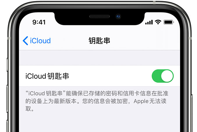 保康苹果手机维修分享在 iPhone 上开启 iCloud 钥匙串之后会储存哪些信息 