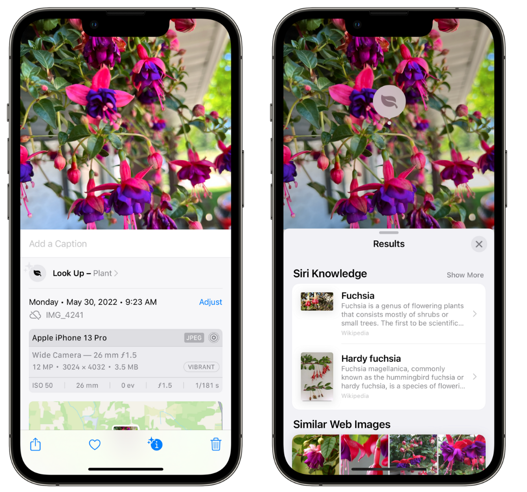 保康苹果手机维修分享小技巧：使用 iPhone 相机识别花卉植物 