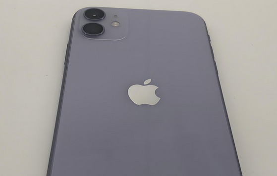 保康苹果11系统维修分享iPhone11手机系统崩溃无法开机如何解决